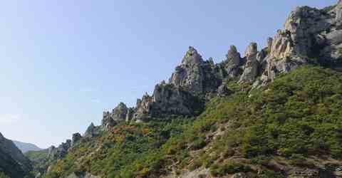 basilicata gallipoli cognato