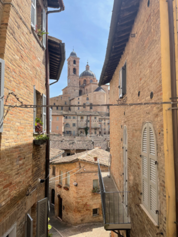 Urbino cosa vedere